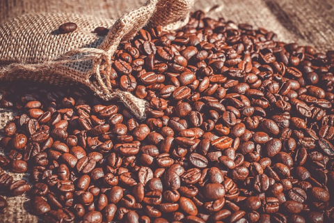 Современная кофемашина — кому она пригодится и как её правильно выбрать?