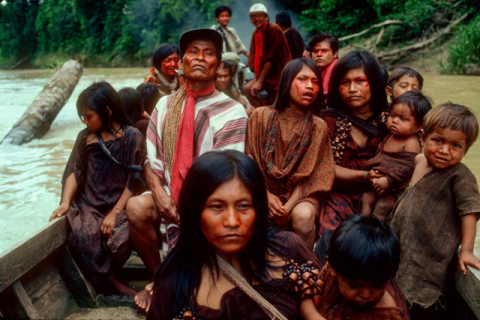 Индейцы племени ашанинка добились компенсации за вырубку лесов на их землях