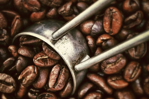 Разные способы обработки кофейных зёрен