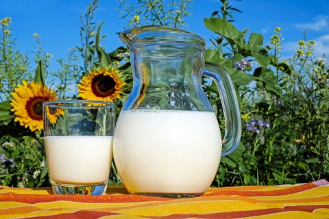 Міфи і реальність про молоко