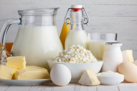 Молочные продукты – незаменимые компоненты питательного и сбалансированного рациона