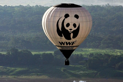 WWF критикує: ЄС — це дорогий супермаркет, а не світова житниця