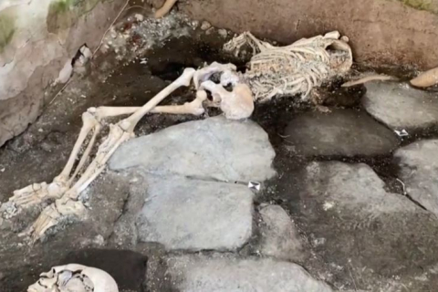 Во время раскопок в Помпеях обнаружили три скелета