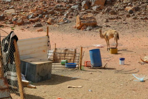 Иордания, вторая по дефициту воды страна в мире, адаптируется к изменяющемуся климату