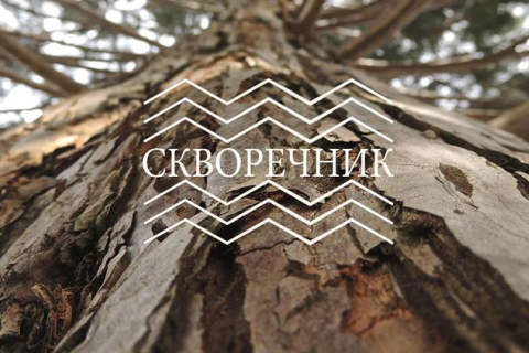 У Києві відкрили кафе на деревах