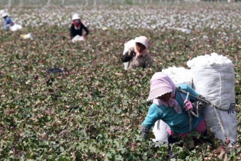 Запрет на товары, изготовленные с помощью принудительного труда в Синьцзяне, замедлил импорт одежды в США