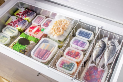Немного о выборе холодильника и морозильной камеры для дома. Бытовая техника марки Gorenj