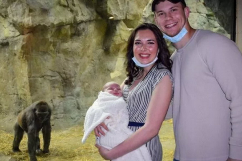 Мама-горила із зоопарку поділилася солодким моментом з матір'ю, яка несе свою новонароджену дитину в Бостонському зоопарку