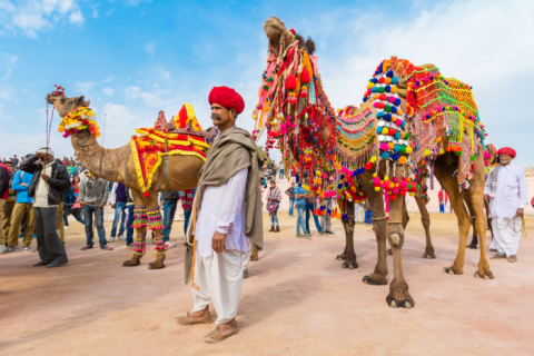 «Корабли пустыни»: верблюжий фестиваль в Индии (ФОТО)