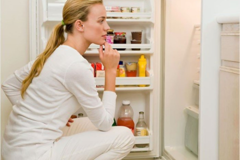 Сколько времени после разморозки холодильник набирает температуру