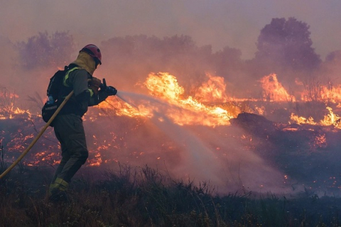 Испания борется с масштабными лесными пожарами