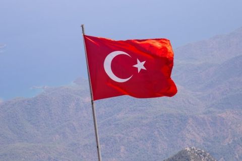 Туреччина розвиває економічні відносини з Росією попри санкції