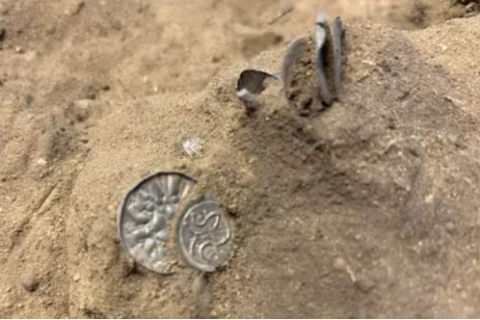 У Данії знайшли скарб тисячолітніх монет вікінгів (ВІДЕО)