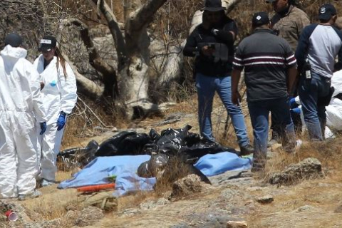 Поліція Мексики знайшла 45 мішків з частинами тіл зниклих співробітників кол-центру (ВІДЕО)