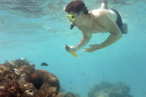 Австралія витратить 2,9 мільярда доларів на захист Великого Бар'єрного рифу (ВІДЕО)