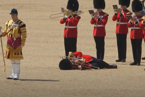 Солдаты теряют сознание от палящей лондонской жары, пока принц Уильям инспектирует войска