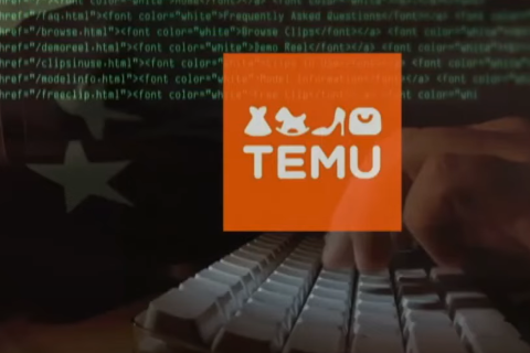 Арканзас подав до суду на торгову платформу Temu, що належить китайцям (ВІДЕО)
