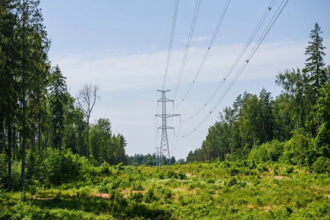 Країни Балтії розробили комплекс заходів для відключення від російської енергосистеми