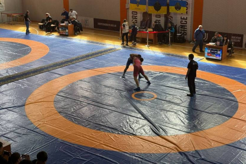 Спортивна боротьба в МАУП під патронажем Ростислава Щокіна