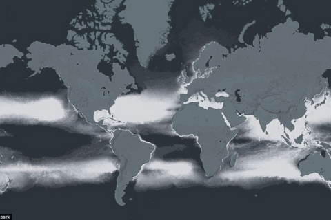 Ми живемо в океані пластику: шокуюча інтерактивна мапа