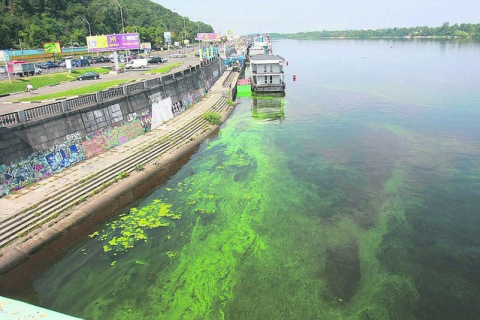 «Цвітіння» води: чи небезпечний зелений Дніпро
