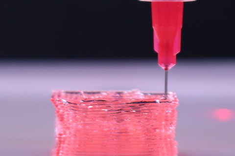 3D-принтер напечатает органы для трансплантации