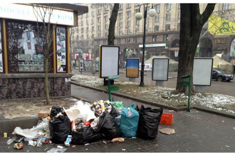 Как сделать город чище: петиция киевлянина