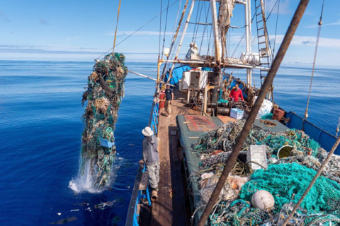 Больше сотни тонн океанского мусора собрала команда парусника «Kwai»