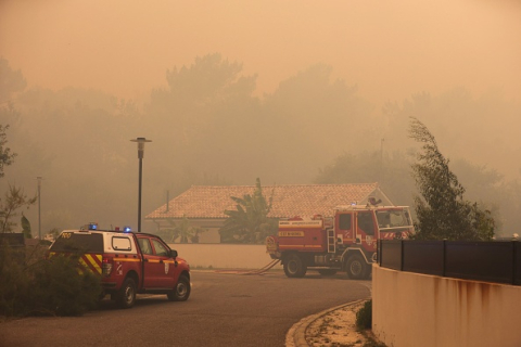 Лесные пожары во Франции: в Жиронде сгорело более 7000 гектаров