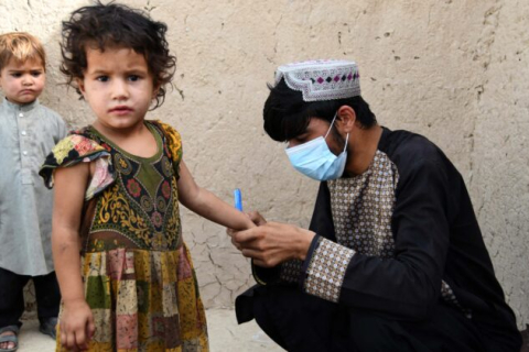 Агентства здравоохранения предупреждают о «кризисе выживания детей» из-за снижения уровня вакцинации