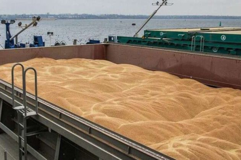 Туреччина купуватиме українське зерно дешевше завдяки своїй ролі гаранта експорту