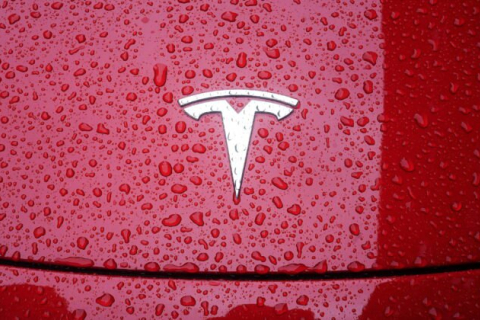У США розпочато розслідування смертельної ДТП за участю пішохода і Tesla