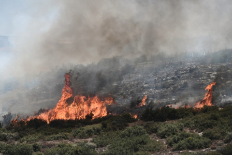 Лесной пожар в Греции вызвал взрывы на складе боеприпасов и перемещение истребителей F-16