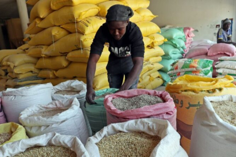 РФ пообіцяла безкоштовне зерно шістьом африканським країнам (ВІДЕО)