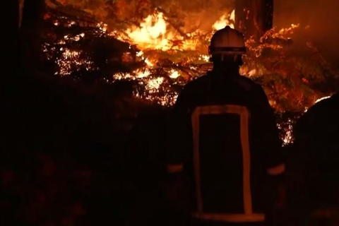 У околицях Парижа вирує лісова пожежа на тлі спеки, що охопила Європу (ВІДЕО)
