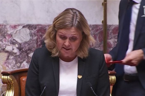 Во Франции парламент принял законопроект об эвтаназии для взрослых