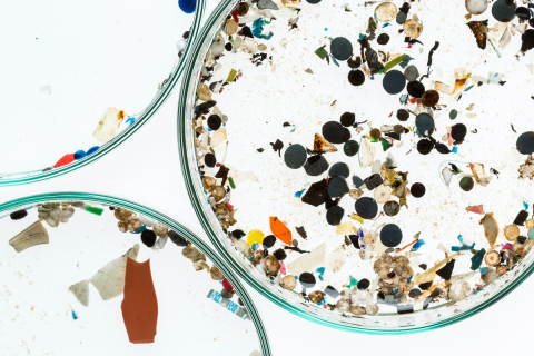 Забруднення Атлантичного океану мікропластиком сильно недооцінені, — дослідження