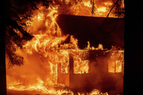 Лесной пожар «Дикси» стал вторым по величине в истории Калифорнии (ФОТО)