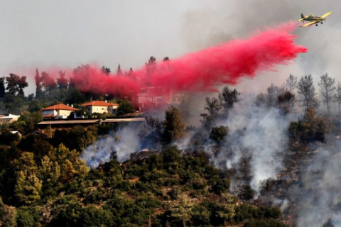Израиль просит помощи из-за рубежа в связи с лесным пожаром под Иерусалимом (ВИДЕО)