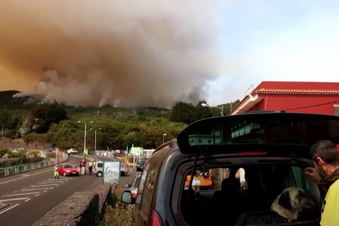 Лісові пожежі вирують на іспанському острові Тенеріфе, тисячі людей евакуйовані (ВІДЕО)