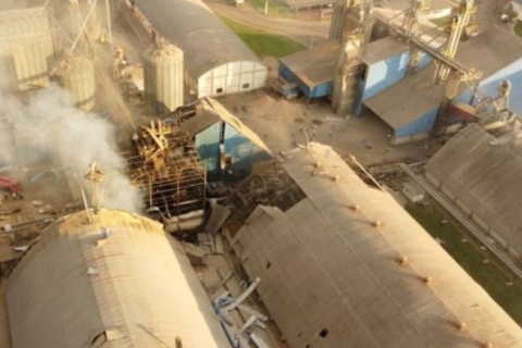 Россия уничтожила 180 тыс. тонн украинского зерна за девять дней