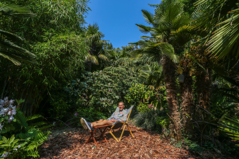 Отец троих детей 35 лет ухаживает за своим садом в «джунглях»: «Это очень трогательная тропическая атмосфера»