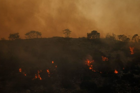 В Греции эвакуировали 8 поселков вблизи леса, охваченного сильным пожаром