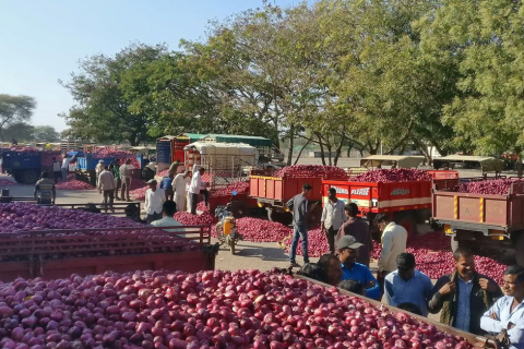 Індія вводить 40% експортне мито на цибулю, щоб стримати зростання цін (ВІДЕО)