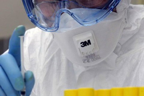 Ученые: у людей еще нет иммунитета от свиного гриппа
