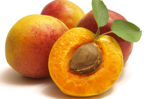 Ядерця абрикосових кісточок можуть допомогти у лікуванні раку