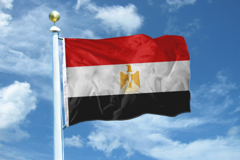 Мухаммед Мурсі переміг на президентських виборах у Єгипті