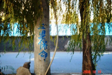 В китайском городе появились многочисленные надписи против компартии. Фотообзор