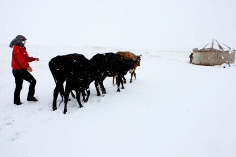 Фотообзор: На северо-западе Китая выпал снег 