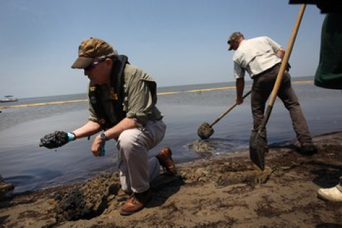 На Одесских пляжах произошел масштабный разлив нефти